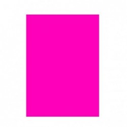 CARTONCINO FLUO 50x70 FUXIA [2513486-00.jpg]